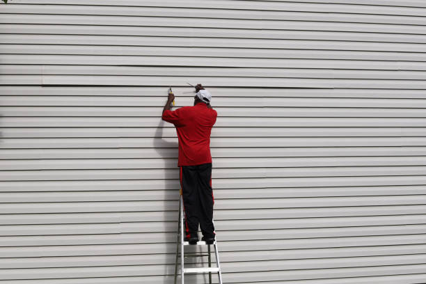 Best Brick Veneer Siding  in Wheaton, MN