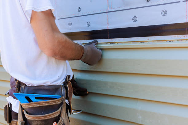 Best Vinyl Siding Installation  in Wheaton, MN