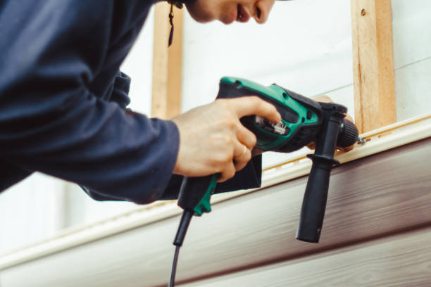 Best Steel Siding Installation  in Wheaton, MN